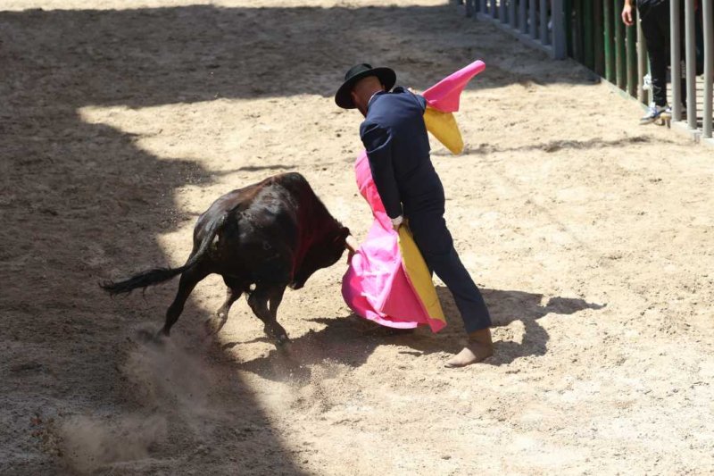 Pedreguer, catedral dels bous al carrer i bressol de toreros i retalladors  Pedreguer, catedral dels bous al carrer i bressol de toreros i retalladors