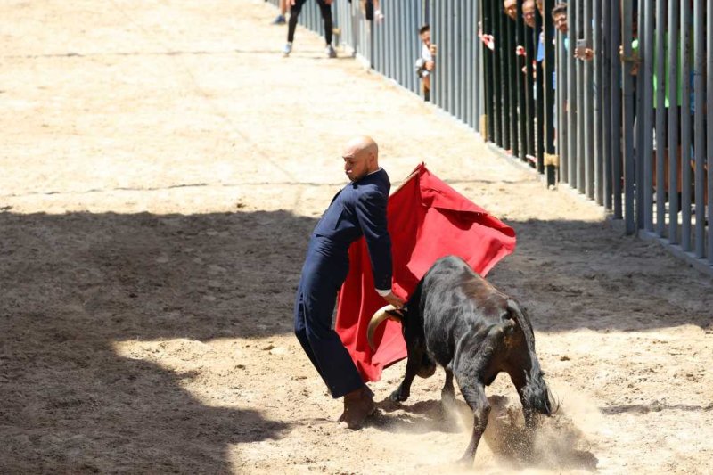 Pedreguer, catedral dels bous al carrer i bressol de toreros i retalladors  Pedreguer, catedral dels bous al carrer i bressol de toreros i retalladors