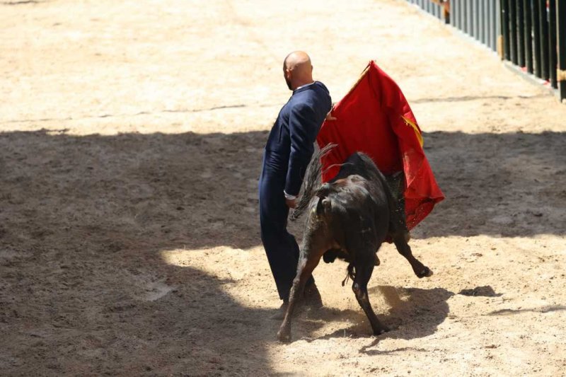 Pedreguer, catedral dels bous al carrer i bressol de toreros i retalladors  Pedreguer, catedral dels bous al carrer i bressol de toreros i retalladors