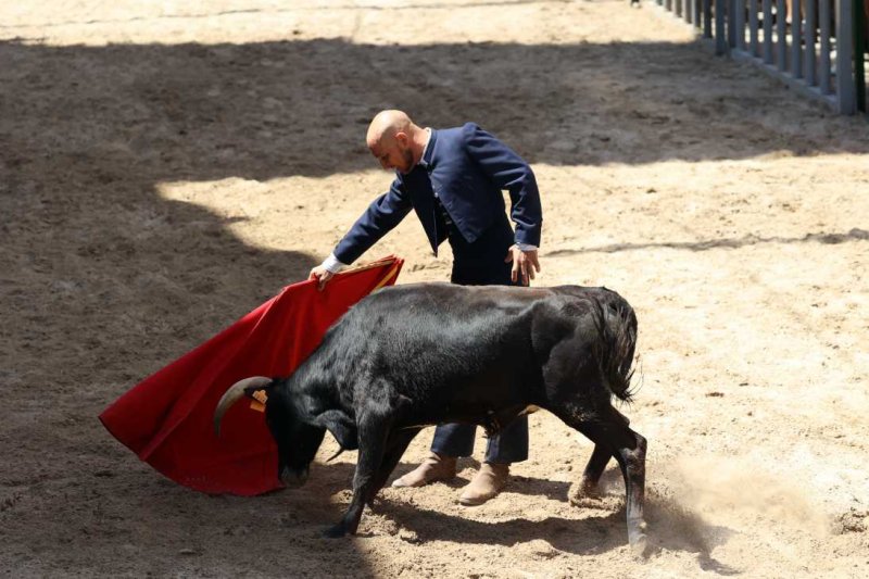 Pedreguer, catedral dels bous al carrer i bressol de toreros i retalladors  Pedreguer, catedral dels bous al carrer i bressol de toreros i retalladors
