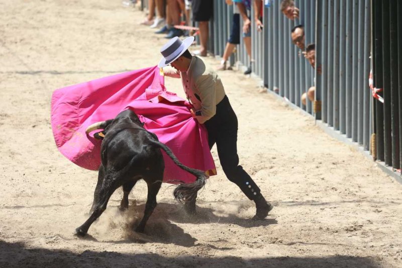 Pedreguer, catedral dels bous al carrer i bressol de toreros i retalladors  Pedreguer, catedral dels bous al carrer i bressol de toreros i retalladors