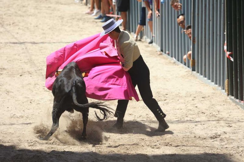 Pedreguer, catedral dels bous al carrer i bressol de toreros i retalladors  Pedreguer, catedral dels bous al carrer i bressol de toreros i retalladors