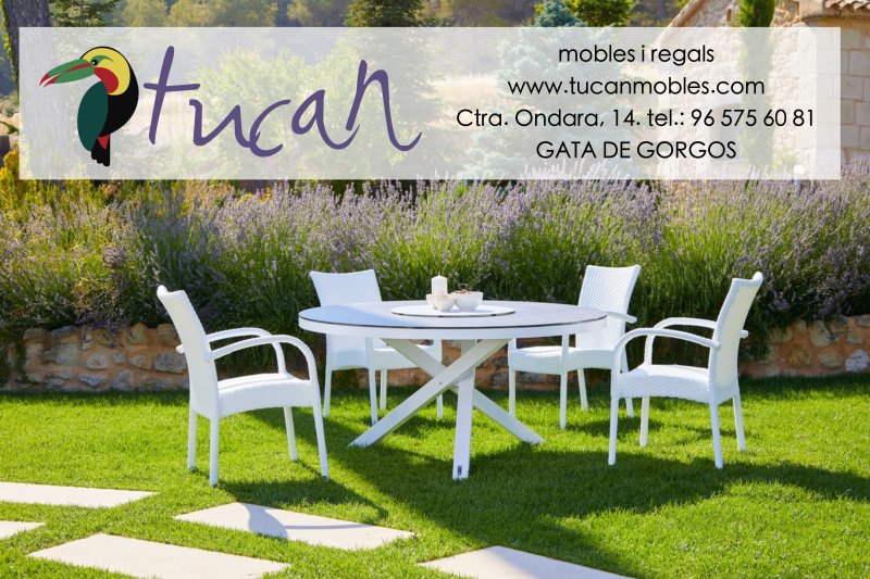 GALERIA DE FOTOS de la festa de les paelles de Gata  GALERIA DE FOTOS de la festa de les paelles de Gata